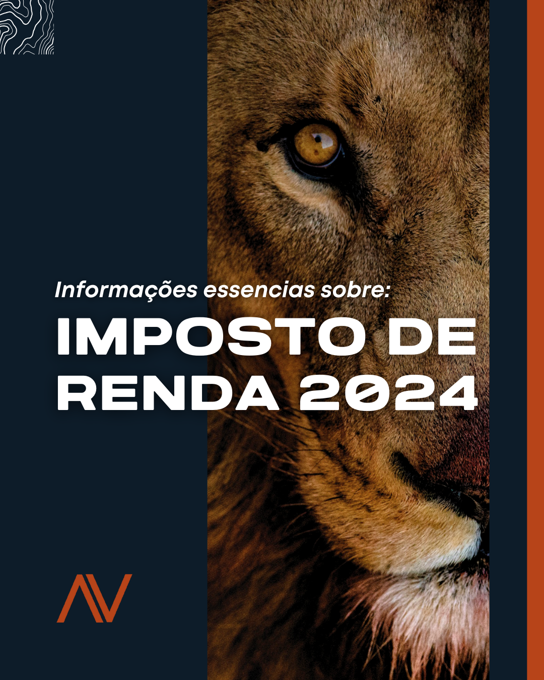 informações essenciais sobre o imposto de renda 2024