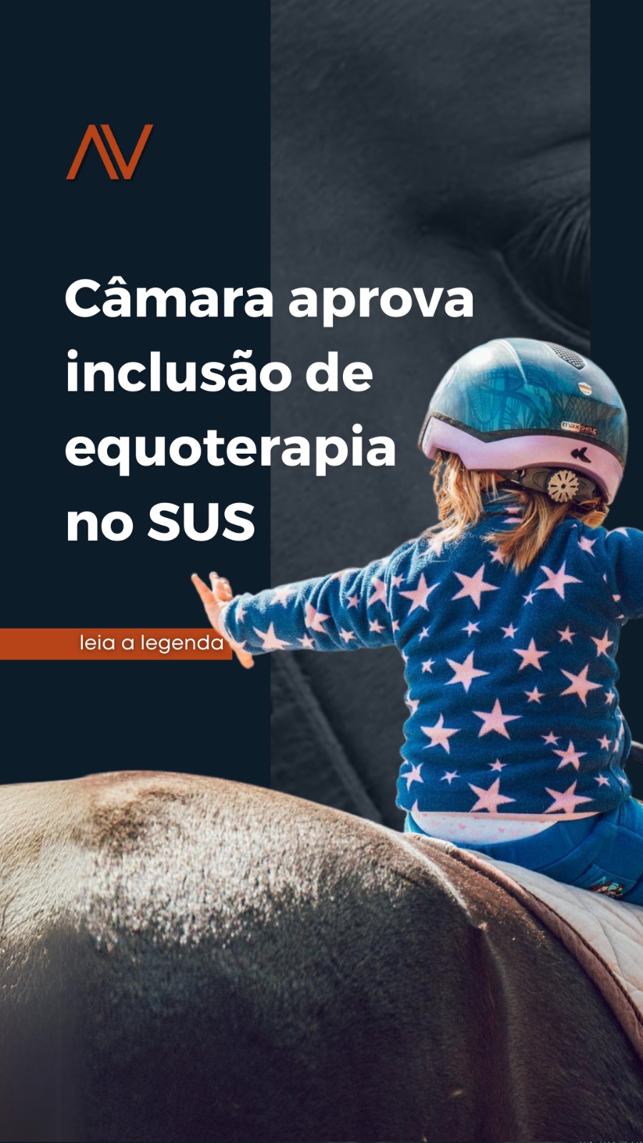 Inclusão de equoterapia no SUS